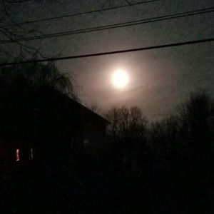 Meet your Posher, Sharon